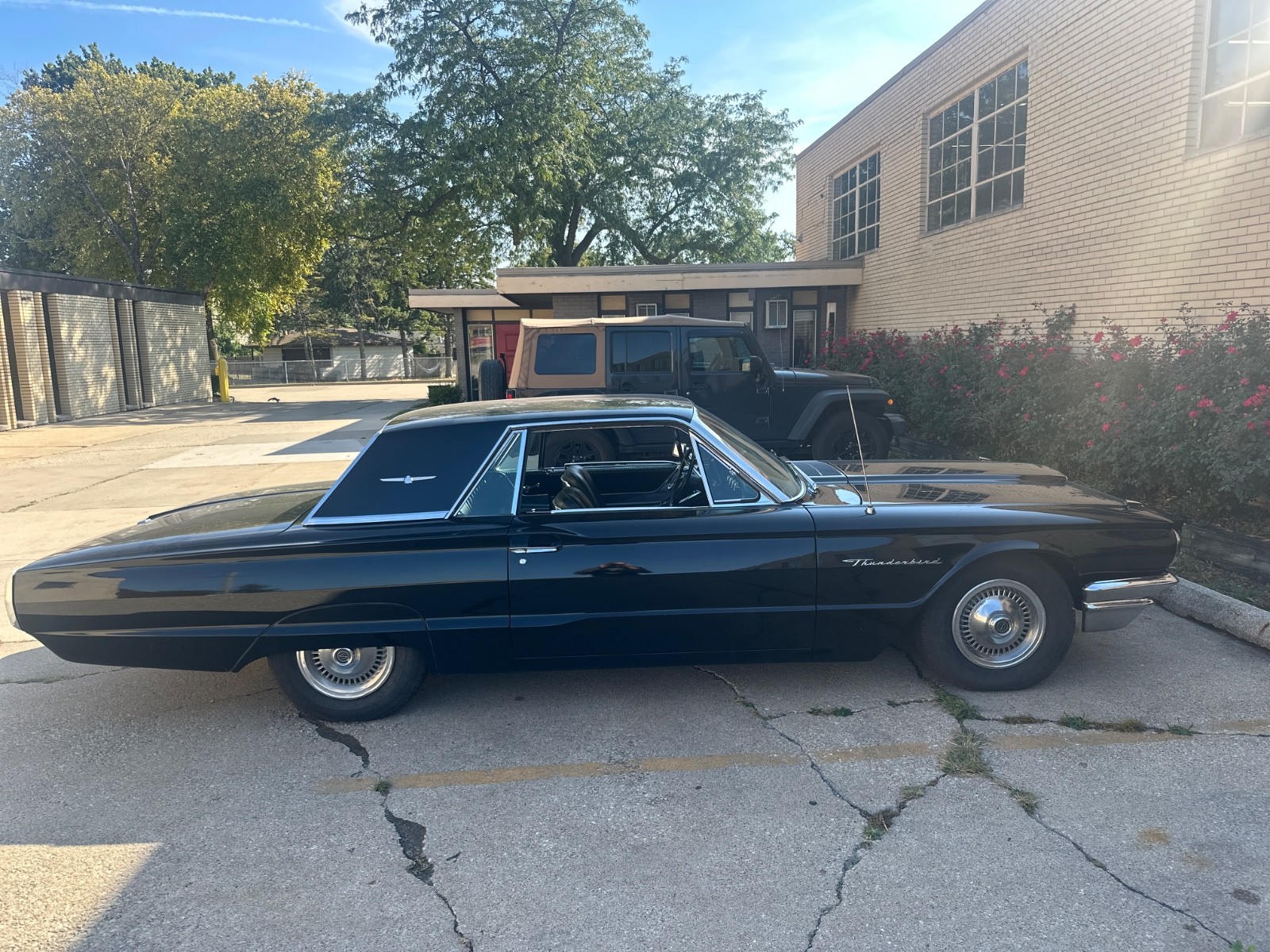 Ford-Thunderbird-1964-Hardtop-22