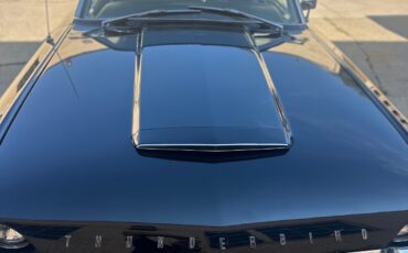 Ford-Thunderbird-1964-Hardtop-5
