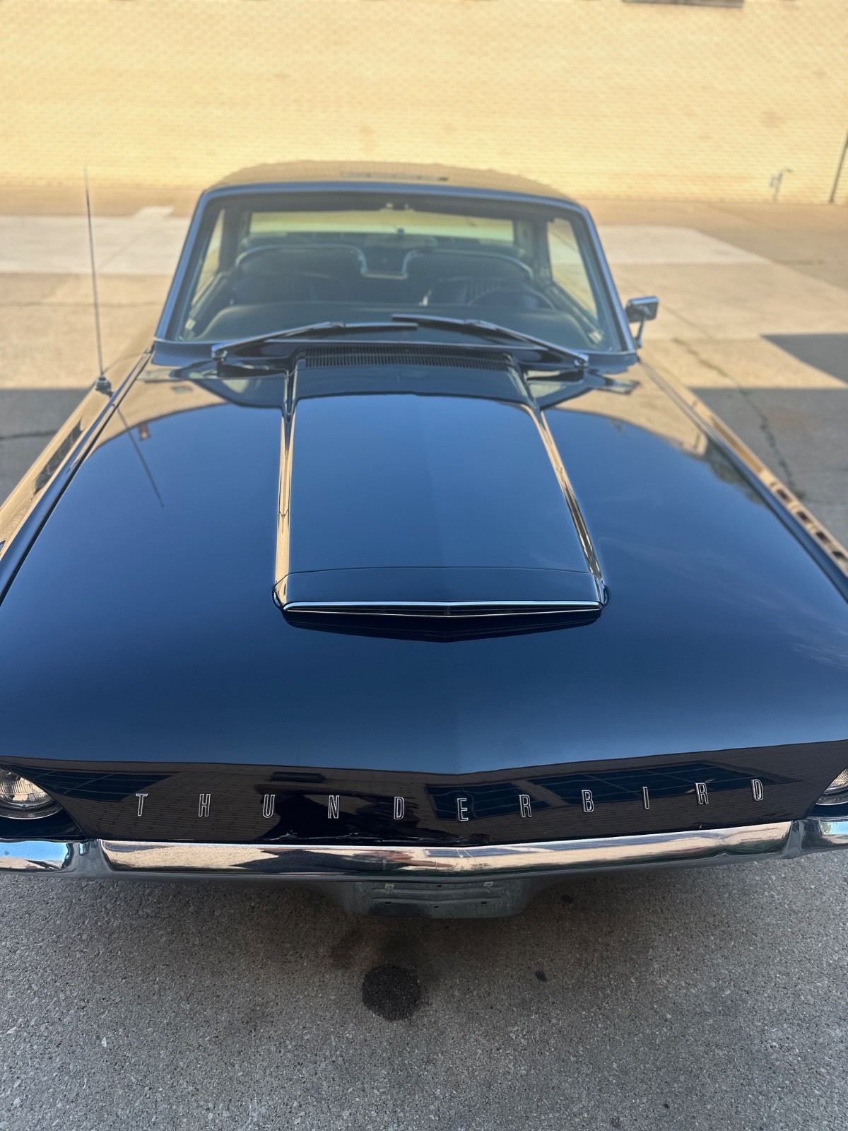 Ford-Thunderbird-1964-Hardtop-5
