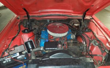 Ford-Thunderbird-1965-Red-White-6