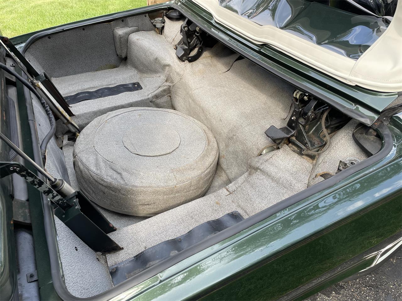 Ford-Thunderbird-1966-Ivy-Green-Black-45