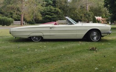 Ford-Thunderbird-1966-White-Red-10