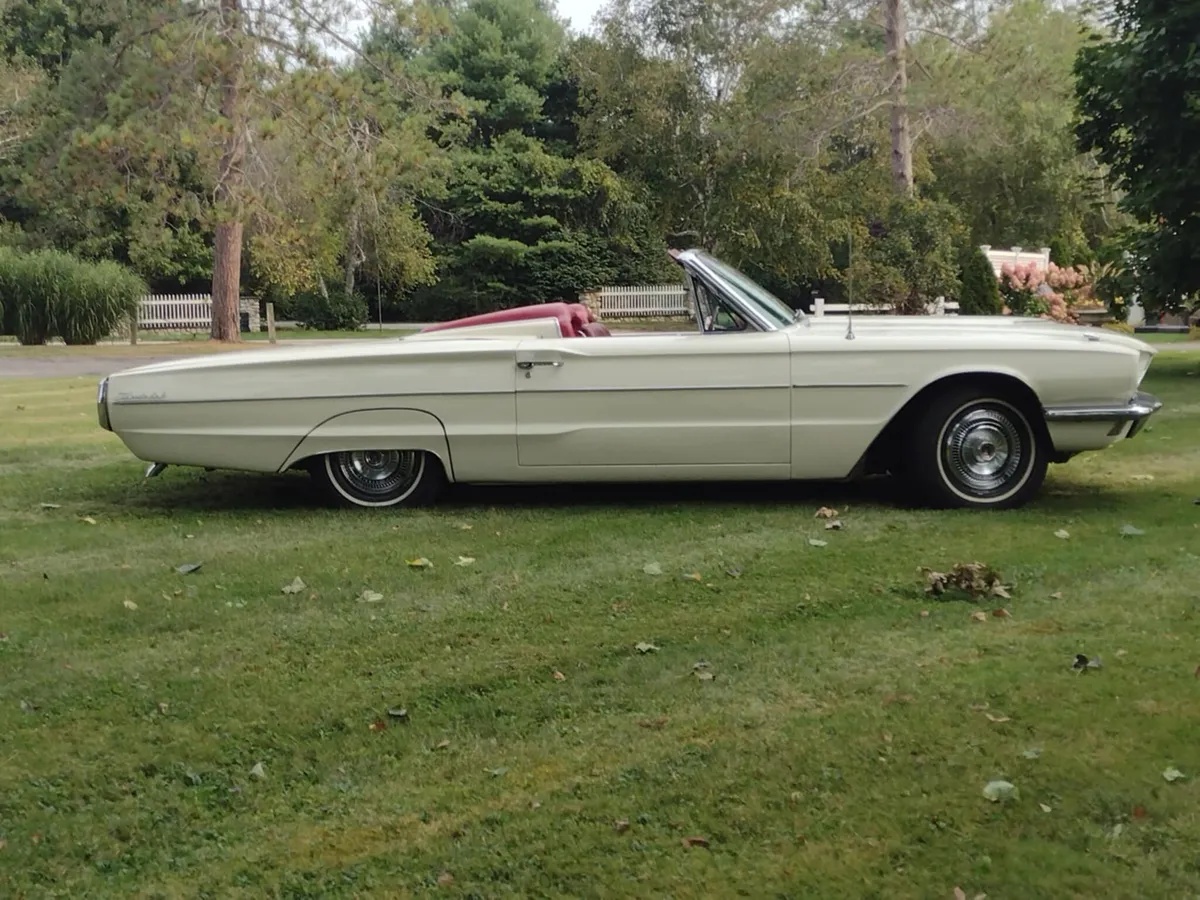 Ford-Thunderbird-1966-White-Red-10