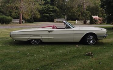Ford-Thunderbird-1966-White-Red-11