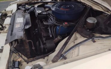 Ford-Thunderbird-1966-White-Red-3