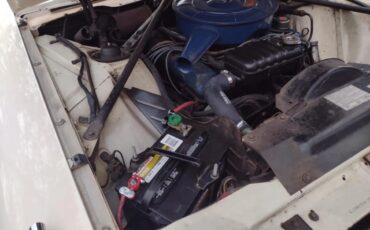 Ford-Thunderbird-1966-White-Red