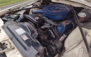 Ford-Thunderbird-1966-White-Red-4