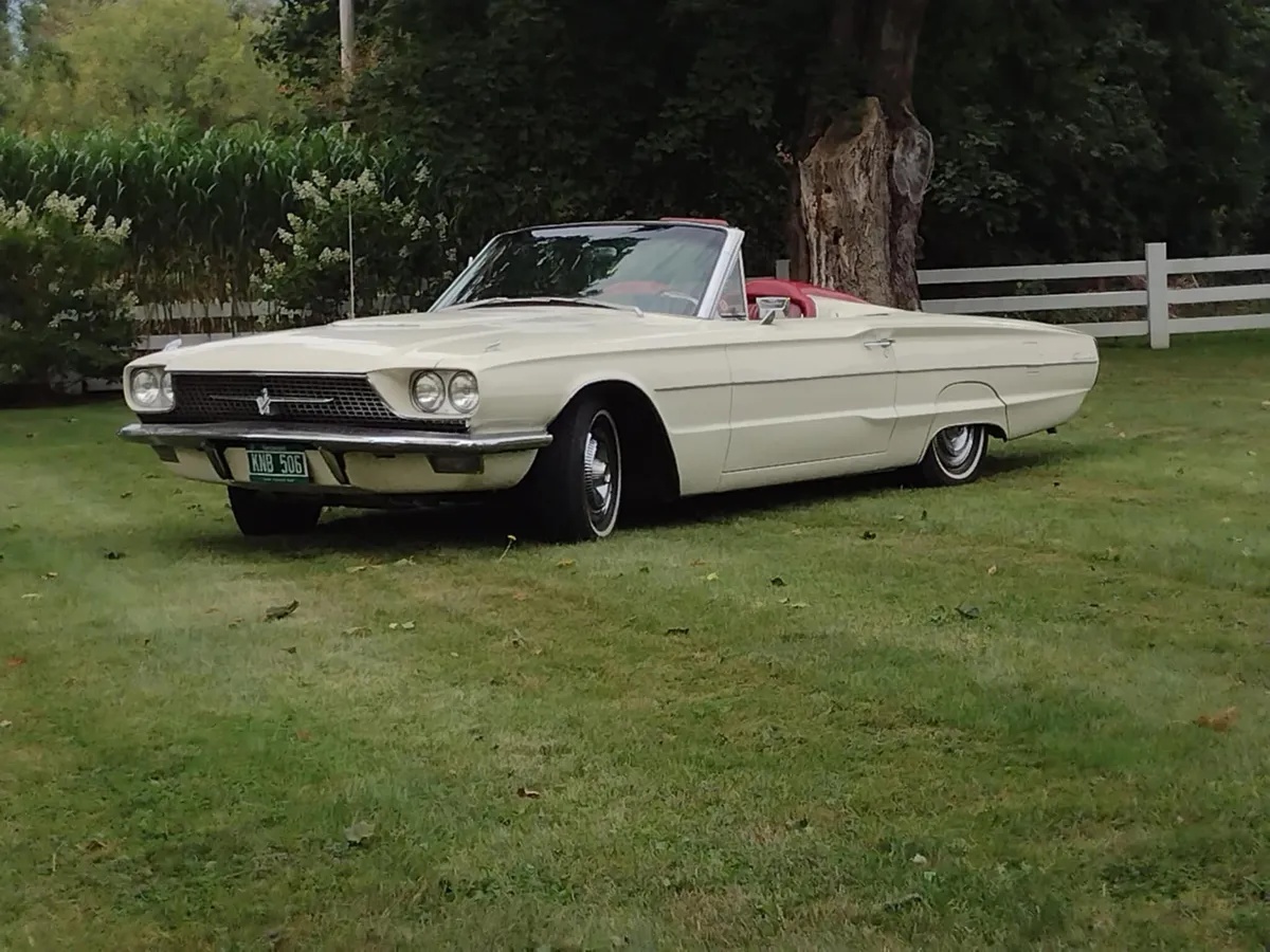Ford-Thunderbird-1966-White-Red-8
