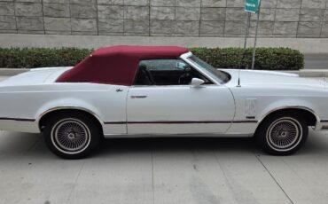 Ford-Thunderbird-1979-10