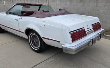 Ford-Thunderbird-1979-15