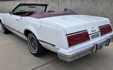 Ford-Thunderbird-1979-17