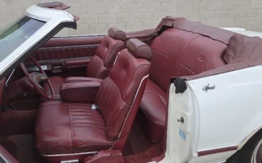 Ford-Thunderbird-1979-22