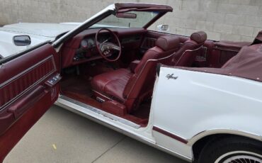 Ford-Thunderbird-1979-32