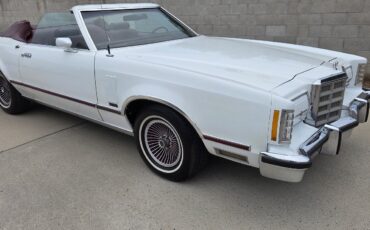 Ford-Thunderbird-1979-4