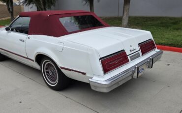 Ford-Thunderbird-1979-6