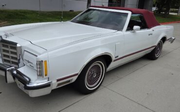 Ford-Thunderbird-1979-8