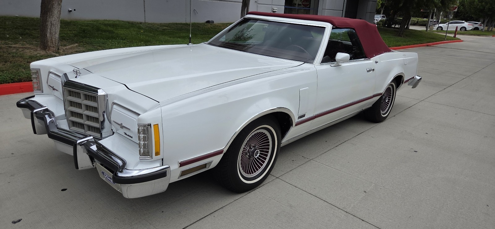 Ford-Thunderbird-1979-8
