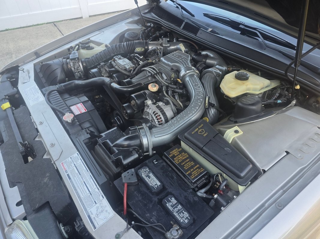 Ford-Thunderbird-1989-Coupe-5