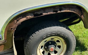 Ford-bronco-1980-brown-1