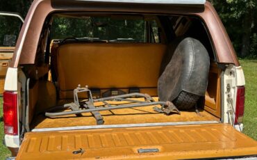 Ford-bronco-1980-brown-10