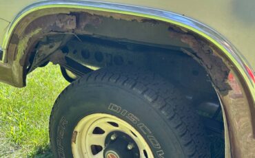 Ford-bronco-1980-brown-18