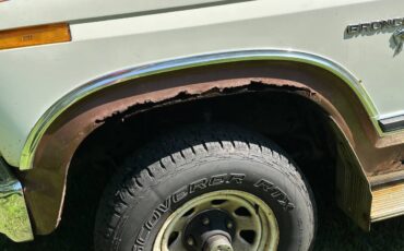 Ford-bronco-1980-brown-3