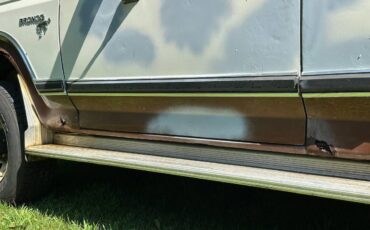 Ford-bronco-1980-brown-5