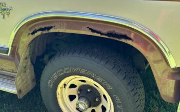 Ford-bronco-1980-brown-6