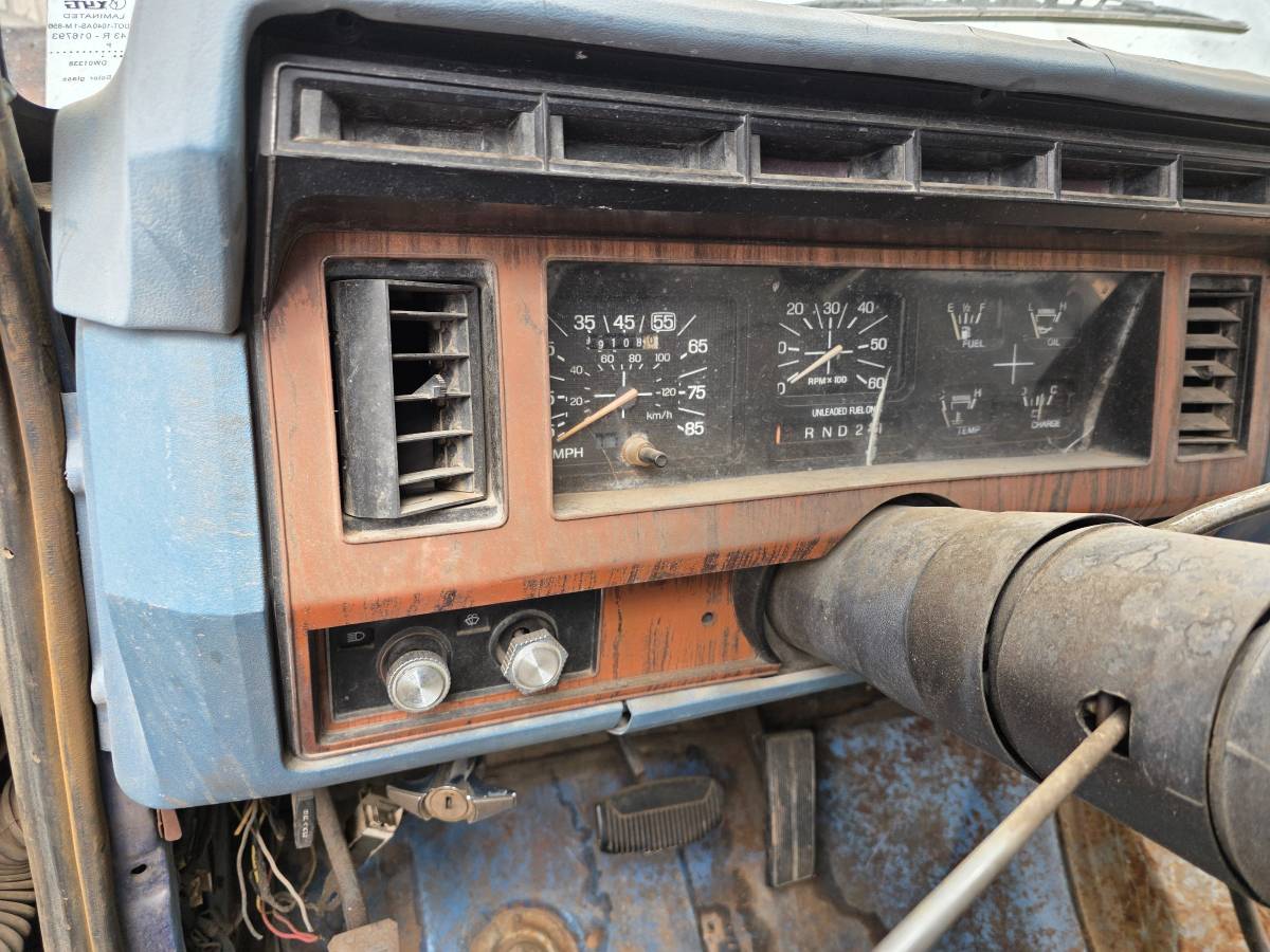 Ford-bronco-1981-grey-11