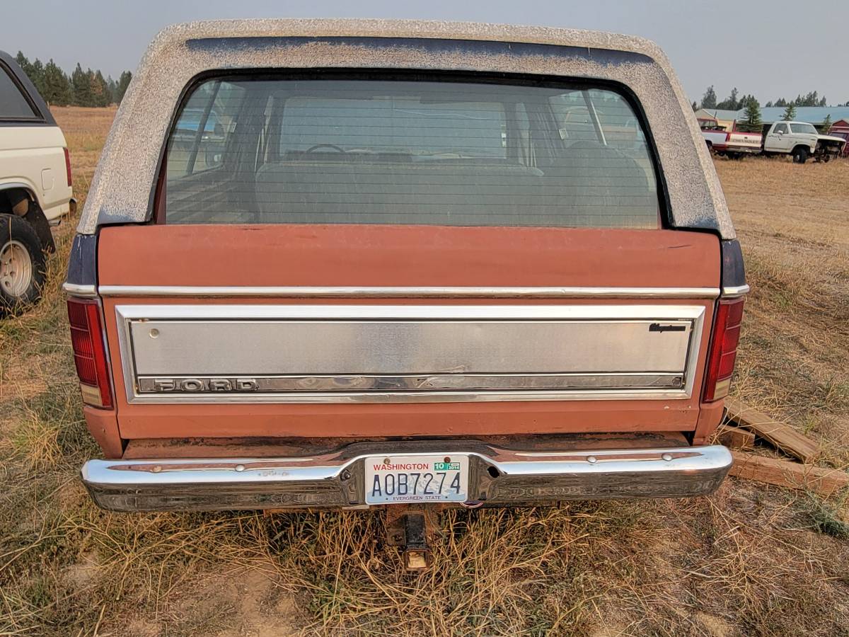 Ford-bronco-1981-silver-1