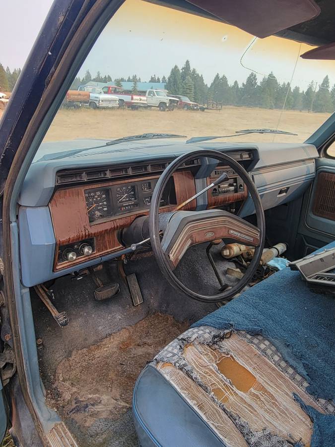 Ford-bronco-1981-silver-2