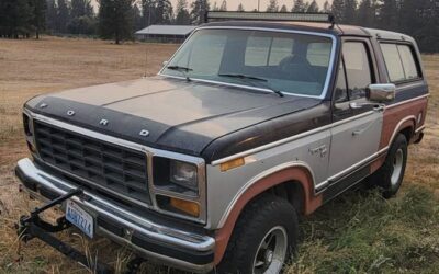 Ford bronco 1981