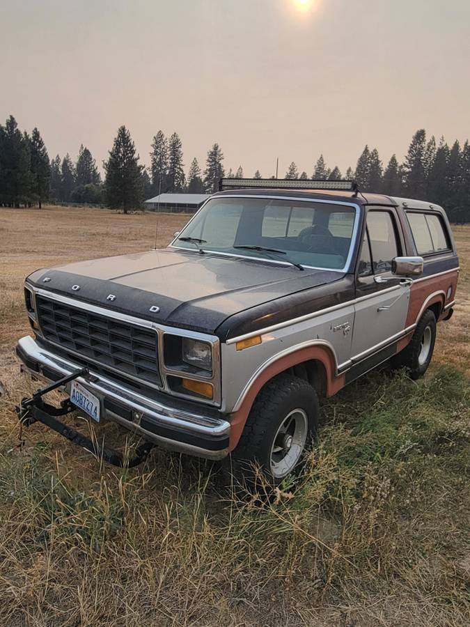 Ford-bronco-1981-silver