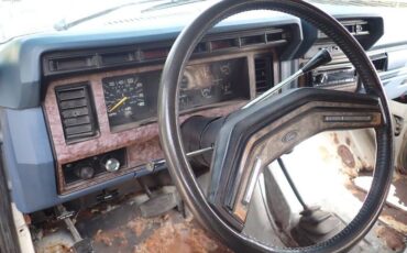 Ford-bronco-1985-grey-1