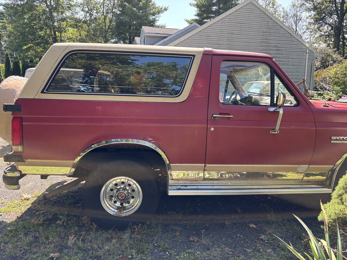 Ford-bronco-1989-1