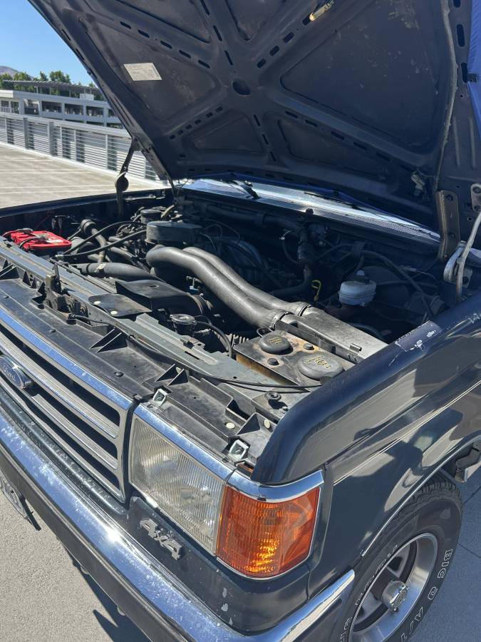 Ford-bronco-1990-blue-3