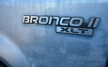 Ford-bronco-badlands-1990-12