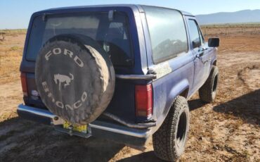 Ford-bronco-ii-1986-blue