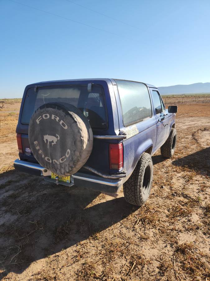 Ford-bronco-ii-1986-blue