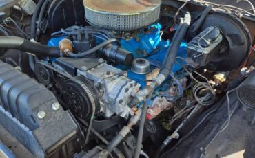 Ford-e150-1978-brown-1