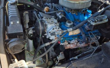 Ford-e150-1978-brown-2
