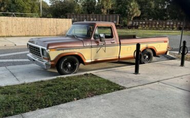 Ford-e150-1978-brown-4