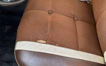 Ford-e150-1978-brown-6
