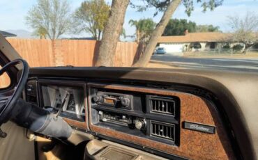 Ford-e250-cargo-van-1979-brown-10