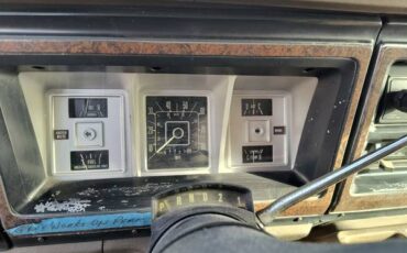 Ford-e250-cargo-van-1979-brown-20