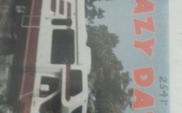 Ford-e350-econoline-van-1995-brown-2
