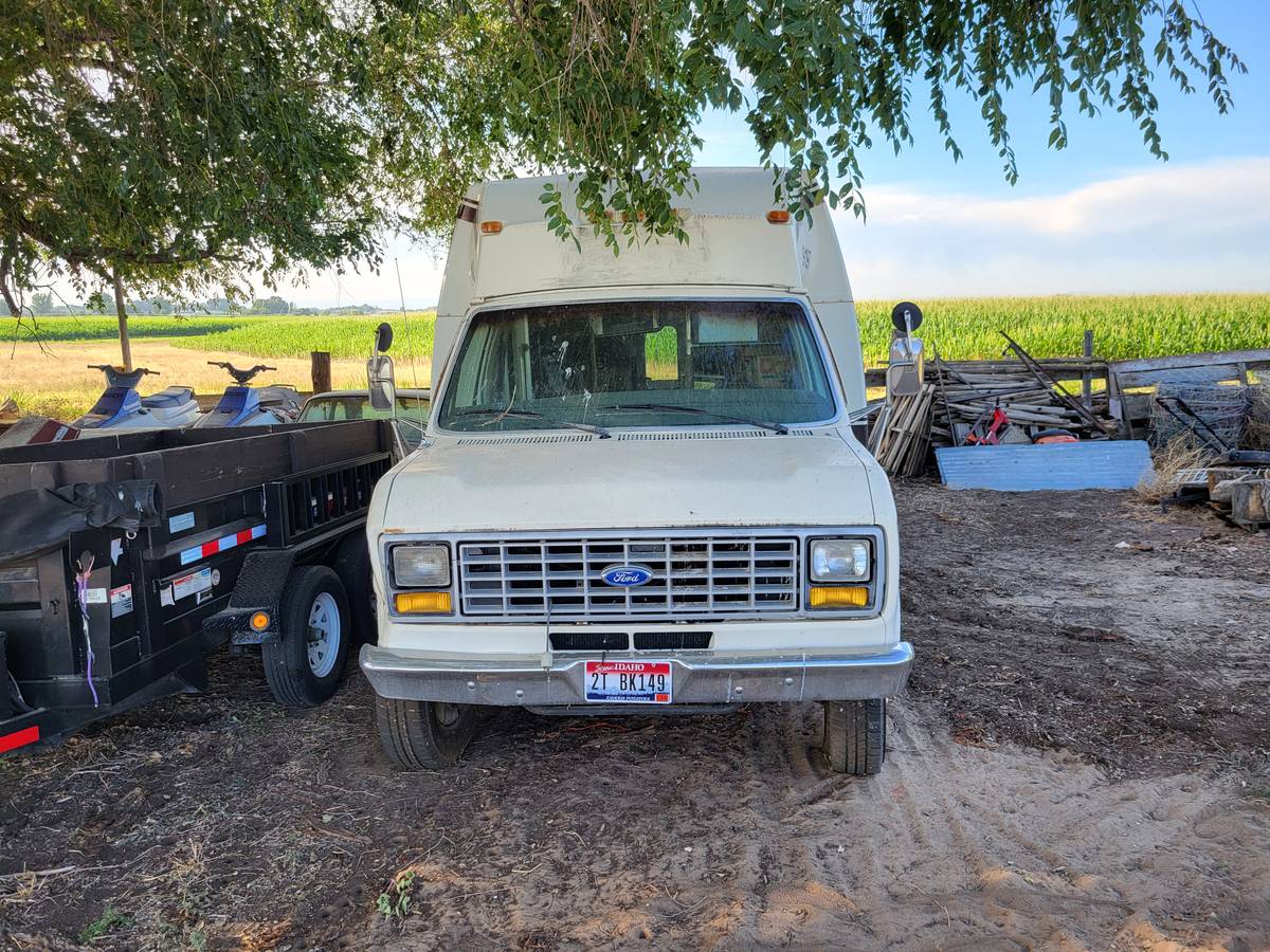 Ford-e350-mini-bus-diesel-1991-white-1