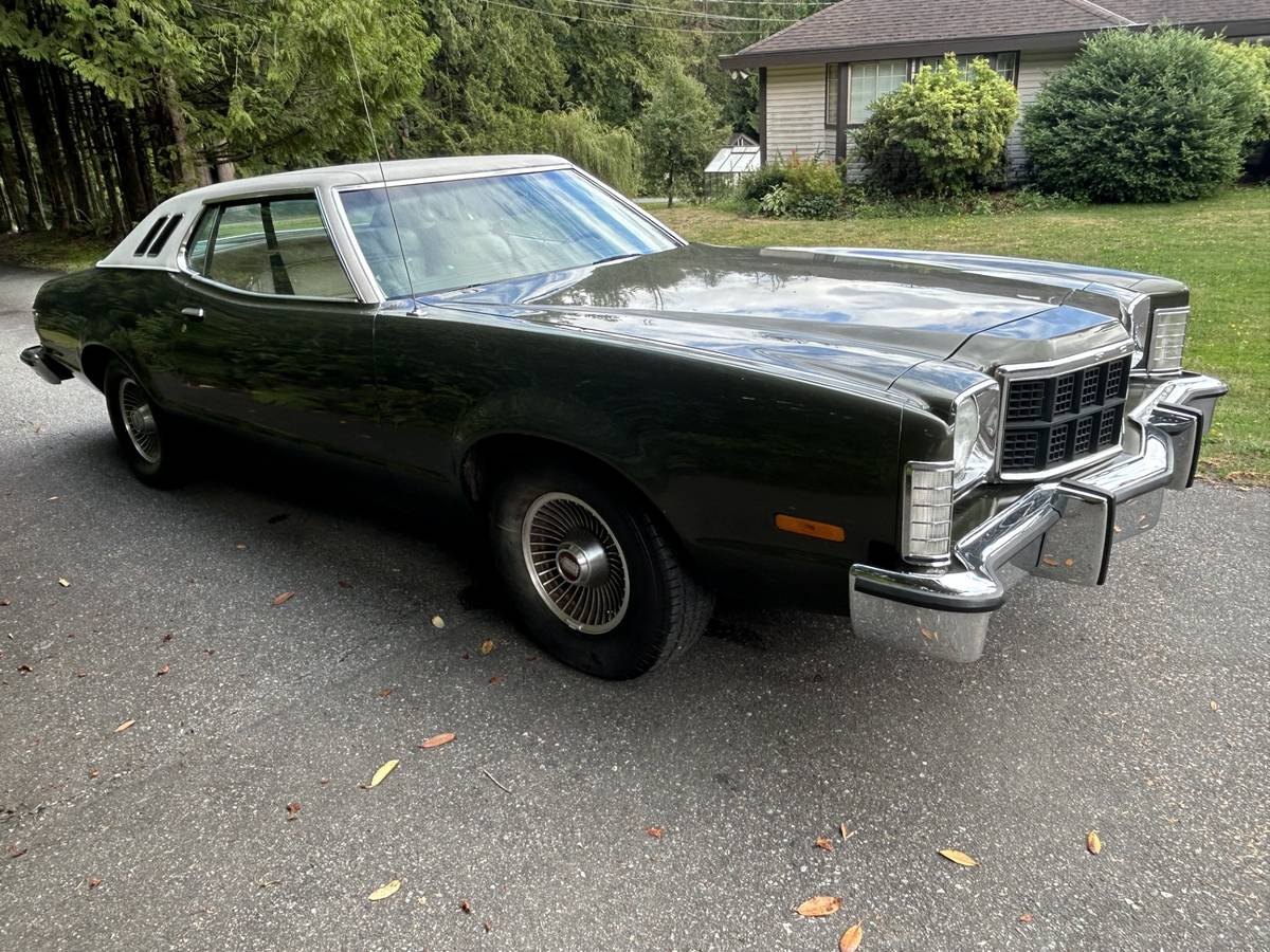 Ford-elite-1975-green-3