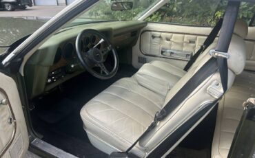 Ford-elite-1975-green-4