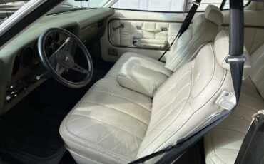 Ford-elite-1975-green-5